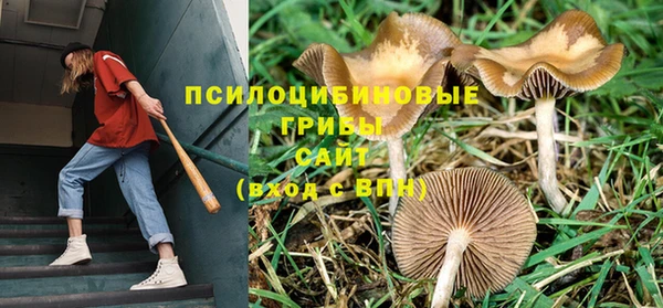 марихуана Михайловск