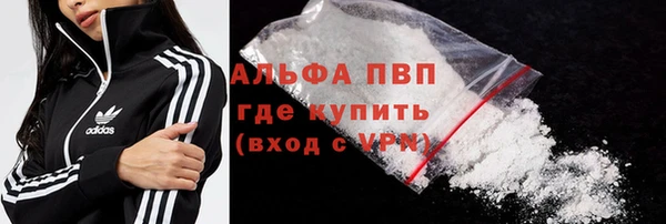 PSILOCYBIN Абаза
