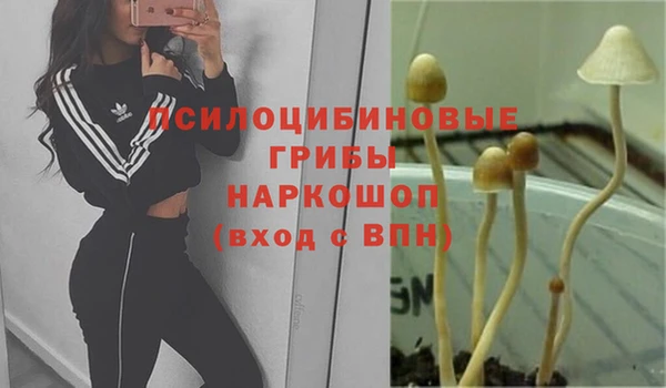 мяу мяу мука Заволжск