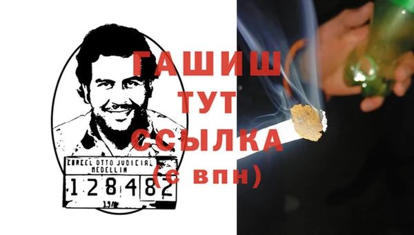 прущие грибы Михайлов