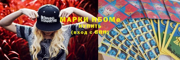 шишки Заводоуковск