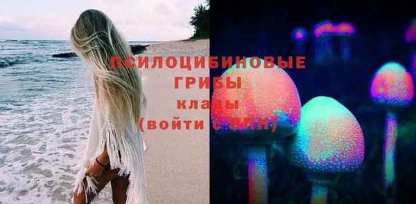 бошки Абинск