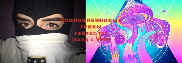бошки Абинск