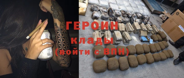прущие грибы Михайлов