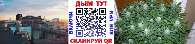 Конопля планчик Сорск